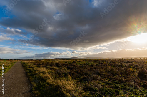 Footpath at culloden moor battlefield