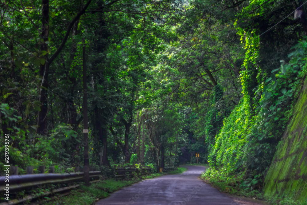 Vagamon, Kerala, India- 07 July 2019:Erattupetta Peerumedu road to vagamon hill station Vagamon, Kerala, India- 07 July 2019:Erattupetta Peerumedu road to vagamon hill station