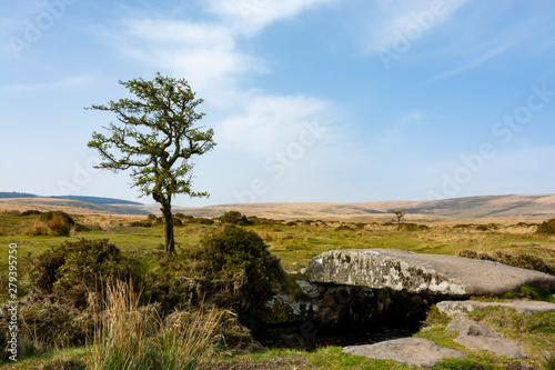 Stone footbridge over a stream in Dartmoor national park, England