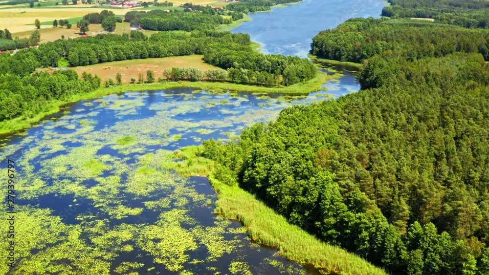 Small river, lake and green forest in Tuchola natural park, Poland from above Small river, lake and green forest in Tuchola natural park, Poland from above