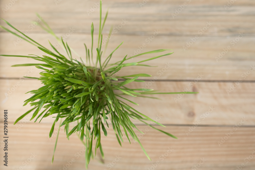 Pot of greens on a light wooden table. Directly above Pot of greens on a light wooden table. Directly above