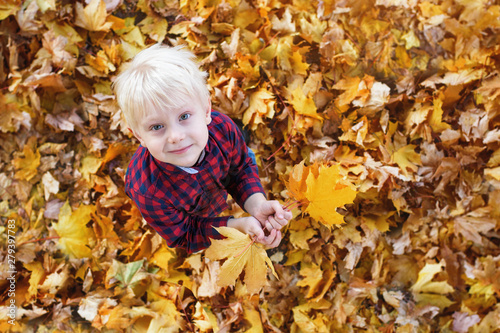 Cute blond boy stands in a autumn leaves and looks up. Top view. Autumn concept