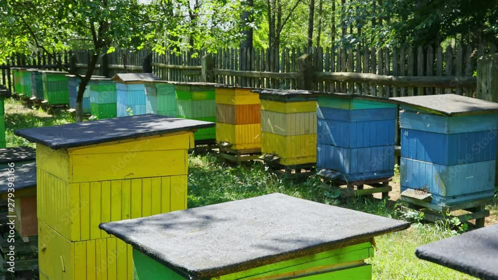 Handmade wooden beehives in the summer garden, Poland Handmade wooden beehives in the summer garden, Poland