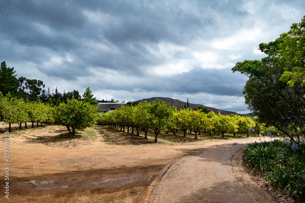 Stellenbosch Weingut