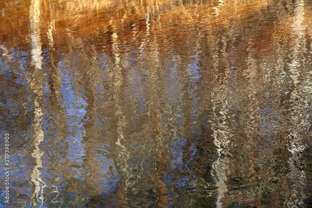 Natural wallpaper, reflection of trees in the water.
