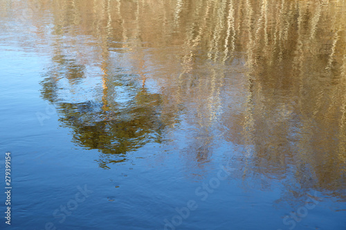 Natural wallpaper, reflection of trees in the water.