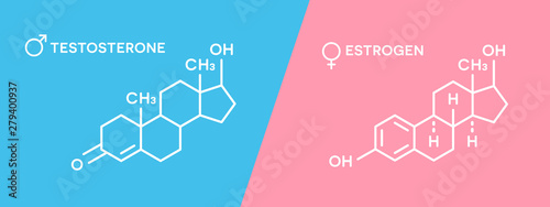 Estrogen and testosterone hormones symbol. Sex hormones molecular chemical formula. photo