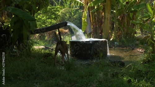 Wallpaper Mural A hand held, panning, tilting, medium shot of a big hose filling a well until the flood of nearby space. Torontodigital.ca