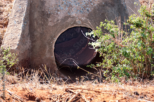 tsavo nationalpark kenya safari löwen jungtiere versteckt © Dominik