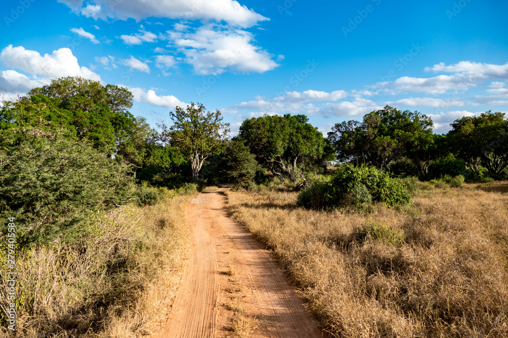 tsavo nationalpark 
