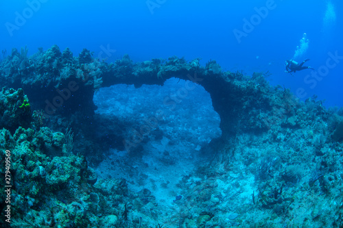 Fototapeta Naklejka Na Ścianę i Meble -  A scuba diver explores a submerged natural arch formed on a coral reef off the coast of Grand Cayman in the Caribbean Sea. This beautiful area is a popular destination for divers and snorkelers.