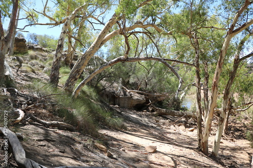 Murchison River gorge in Kalbarri National Park, Western Australia photo