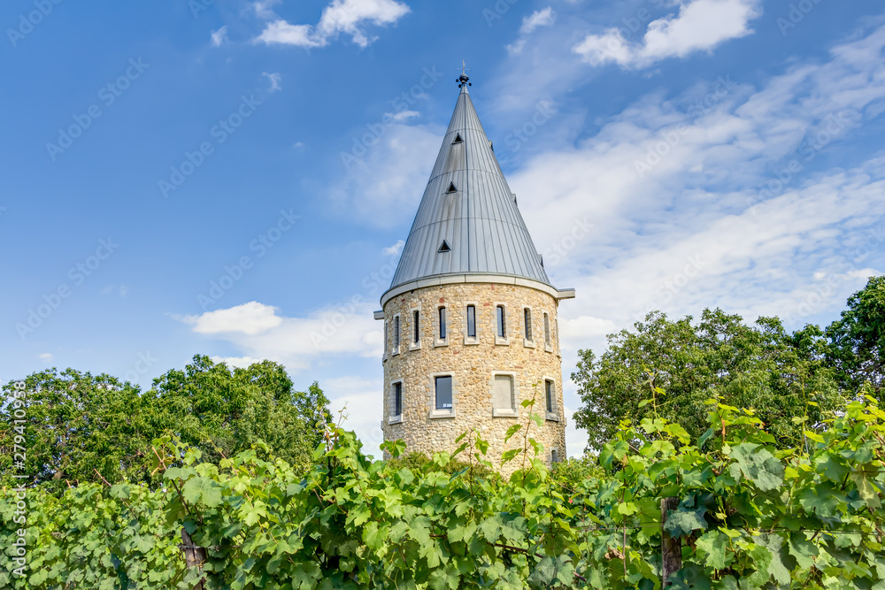 Flörsheimer Warte in den Wickerer Weinberger, Hessen Flörsheimer Warte in den Wickerer Weinberger, Hessen