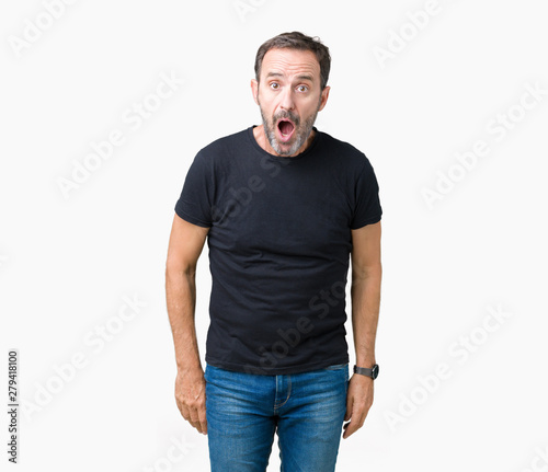 Handsome middle age hoary senior man over isolated background afraid and shocked with surprise expression, fear and excited face. © Krakenimages.com