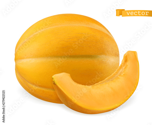 Melon, 3d realistic vector icon