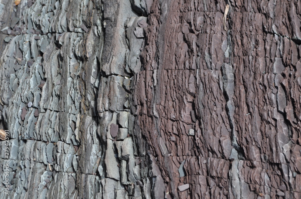 Obraz premium Pattern