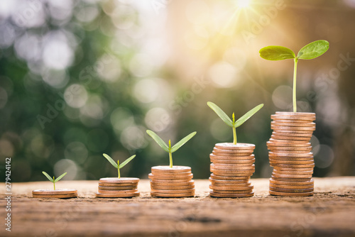 Growing Money - Plant On Coins - Finance And Investment Concept