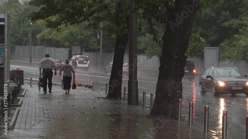 Wallpaper Mural Heavy Rain, a Downpour in the City Park Torontodigital.ca