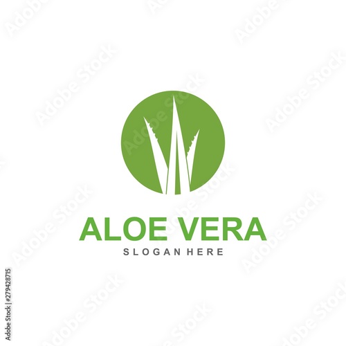 aloe vera logo template, design vector, lotion, treatment