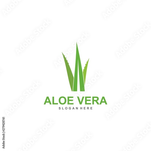 aloe vera logo template  design vector  lotion  treatment