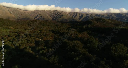 Aerial drone scene flying above dense woods. Mountain chain with longitudinal cloud at high mountain at backgorund. San Javier, Traslasierra, Cordoba photo