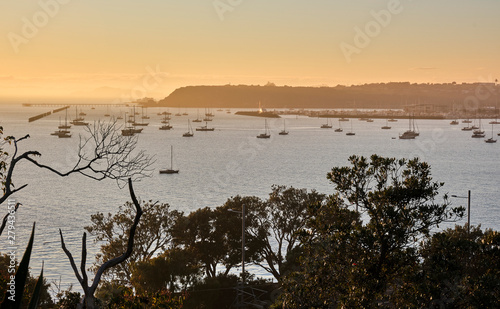 Beautiful gorgeous sunrise in a marina Royal Akarana yacht club in Auckland photo