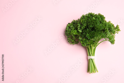 Bunch of fresh green parsley on pink background, top view. Space for text