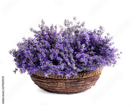 Fresh lavender flowers in basket on white background