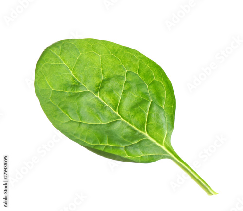 Fresh green healthy baby spinach leaf isolated on white
