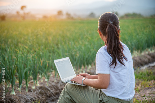 Modern farmer using computer to collect data of white onion farm, smart technology in agriculture. Modern Farming Concept.