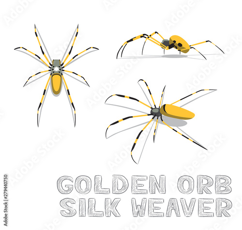 Golden Orb Silk Weaver Cartoon Vector Illustration