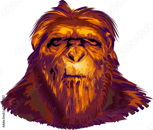 Neanderthal Primate face vector illustration isolated on white