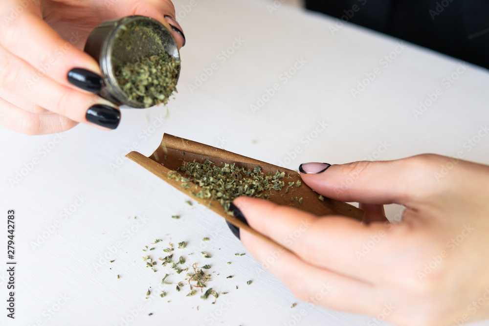 Woman Preparing and Rolling Marijuana Cannabis Joint. Close Up of