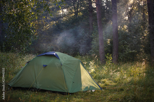 Green tourist tent stands in the woods, illuminated by rays of light. Established tent in the campaign.