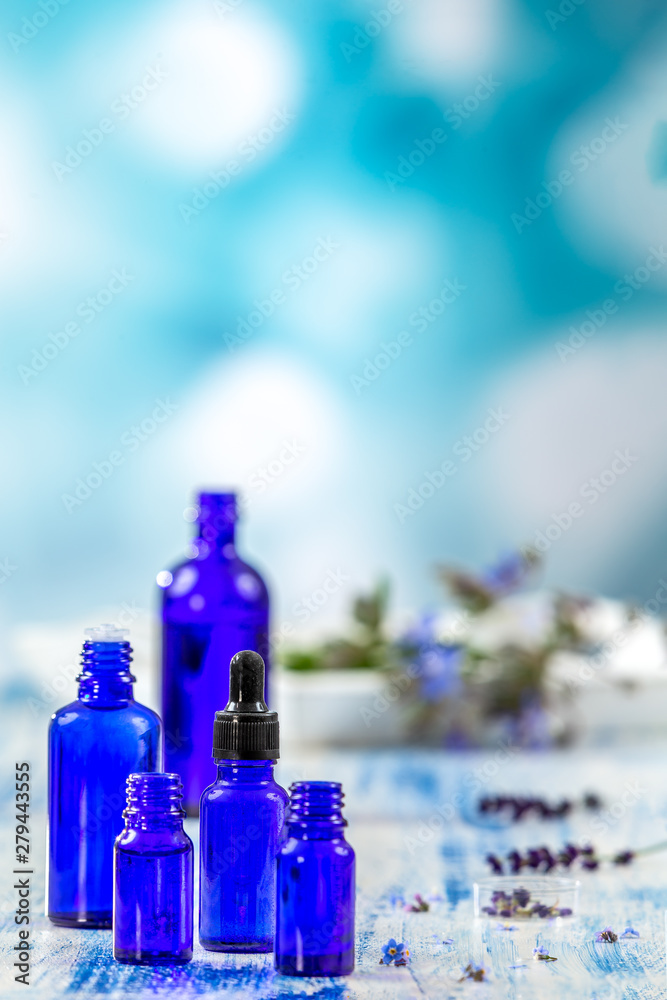 Selection of essential oils bottles and herbs and flowers, thyme and borage on a blue background.