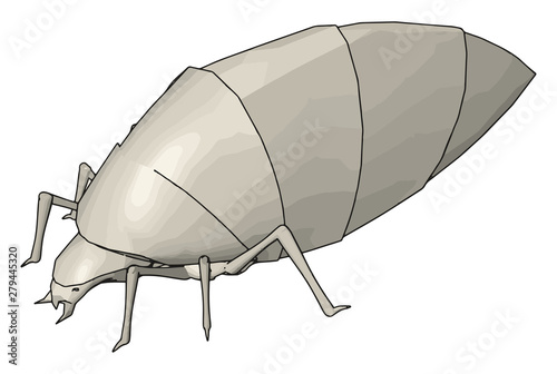 White dung beetle, illustration, vector on white background.