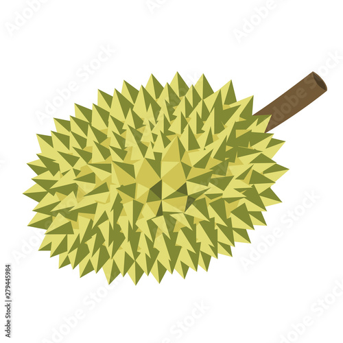 durian fruits