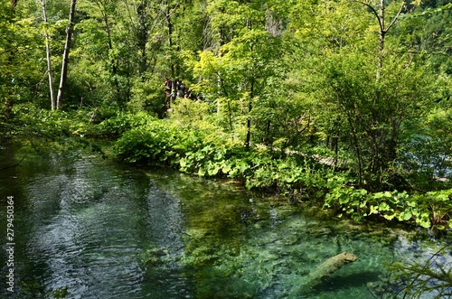 Croatie : Parc national des lacs de Plitvice (Dalmatie du Nord)