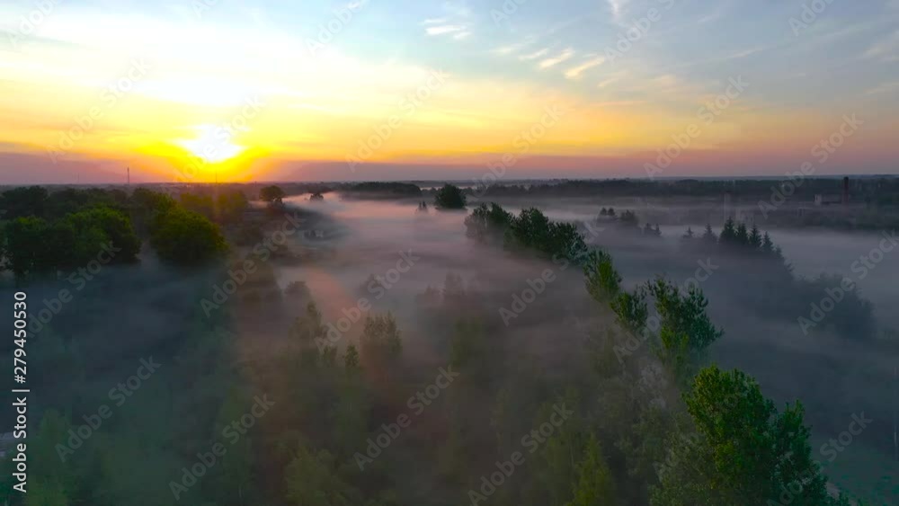 Beautiful fog over over the forest and the road and the trees in rural areas, early in the morning at sun dawn Beautiful fog over over the forest and the road and the trees in rural areas, early in the morning at sun dawn