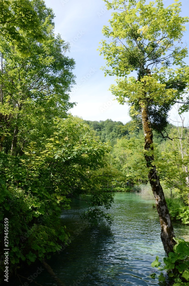 Fototapeta premium Croatie : Parc national des lacs de Plitvice (Dalmatie du Nord)