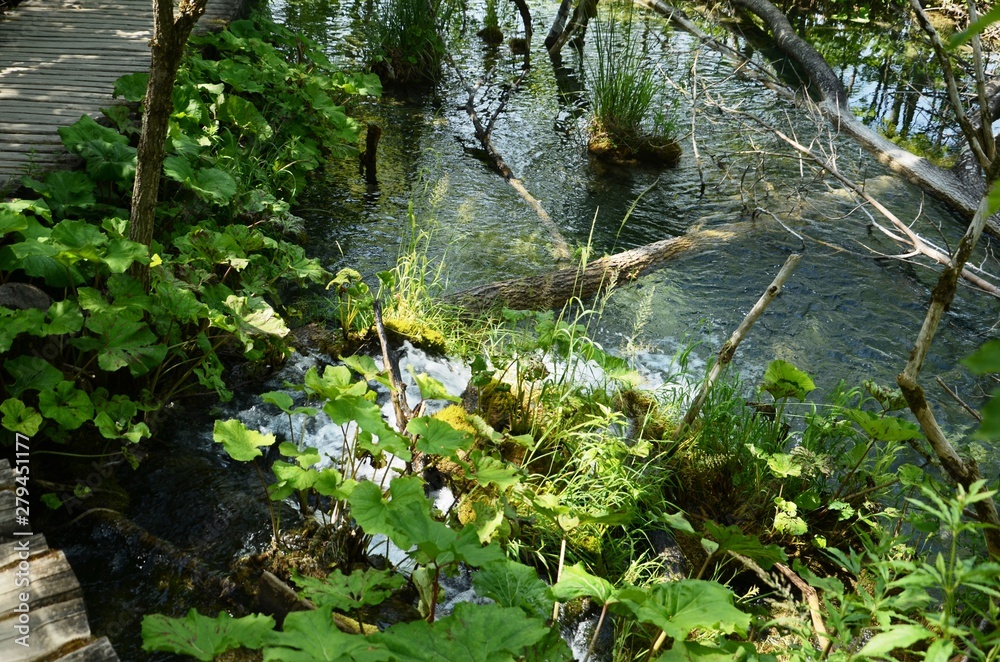 Croatie : Parc national des lacs de Plitvice (Dalmatie du Nord)