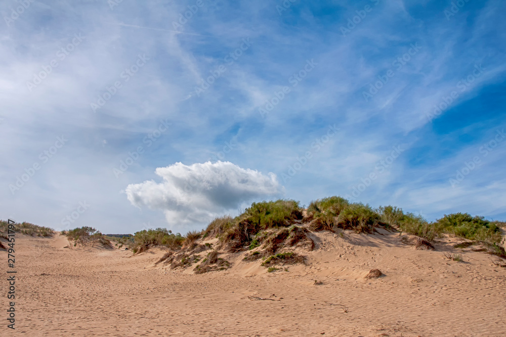 duna de arena de Valdevaqueros en la costa de Tarifa, Andalucía