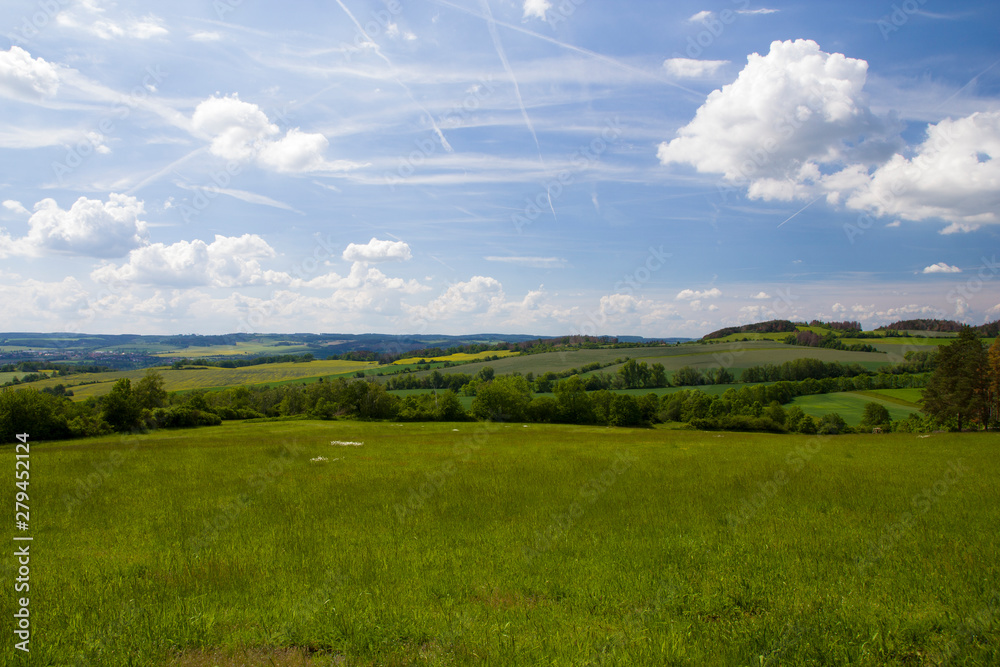 Obraz premium Field of green grass in the hilly landscape