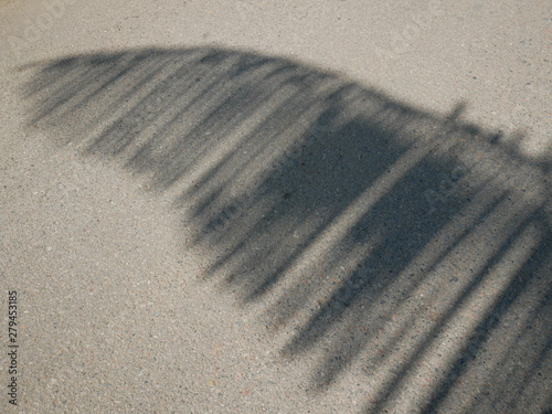 The shadow of leaves on the wall.