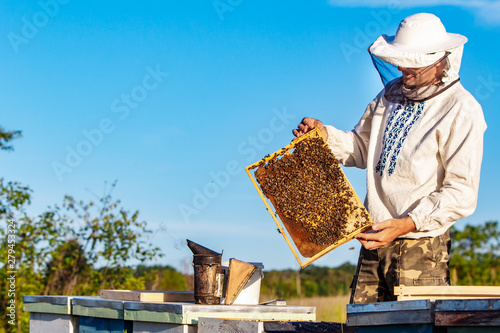 фотографія a beekeeper in protective clothing holds a frame with honeycombs for bees in the