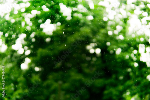 heavy rain on the background of green trees. Landscape in the wet forest. Beautiful background. Out of focus