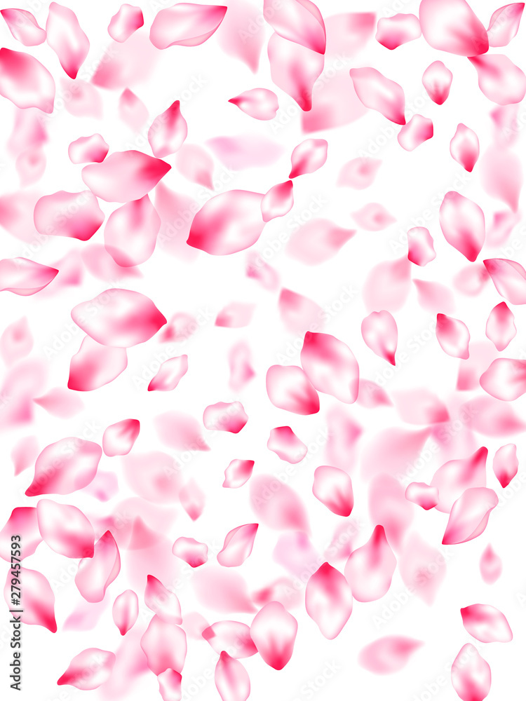 Spring blossom isolated petals flying