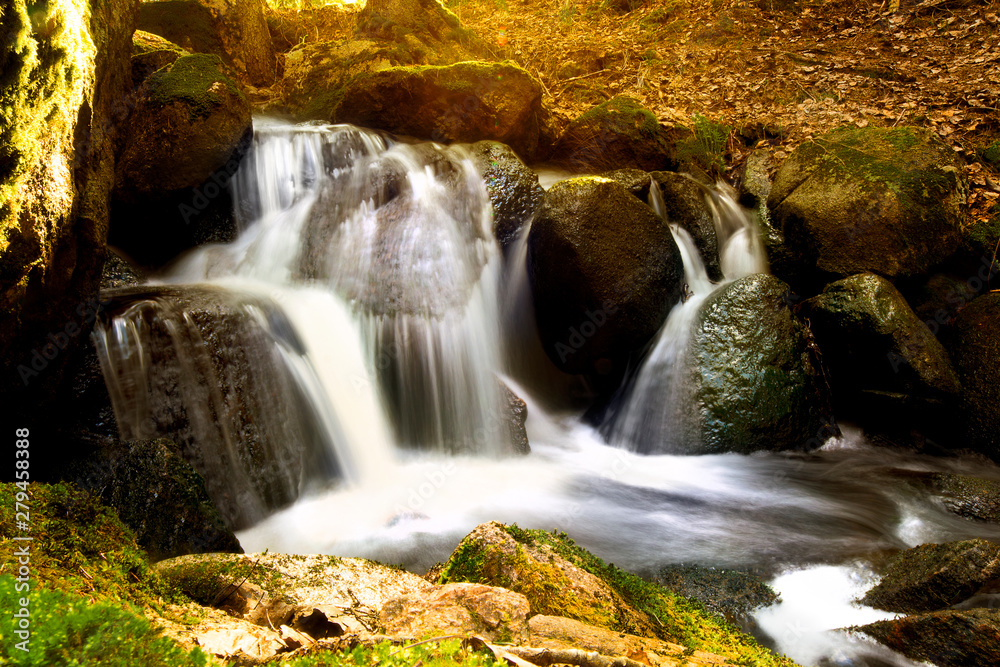 Obraz premium Small waterfall in a forest