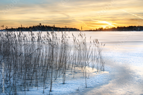 Hay at shore during winter © Petteri