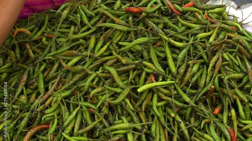 A steady extreme close up shot of the hands of a person separating green peppers from red ones A steady extreme close up shot of the hands of a person separating green peppers from red ones